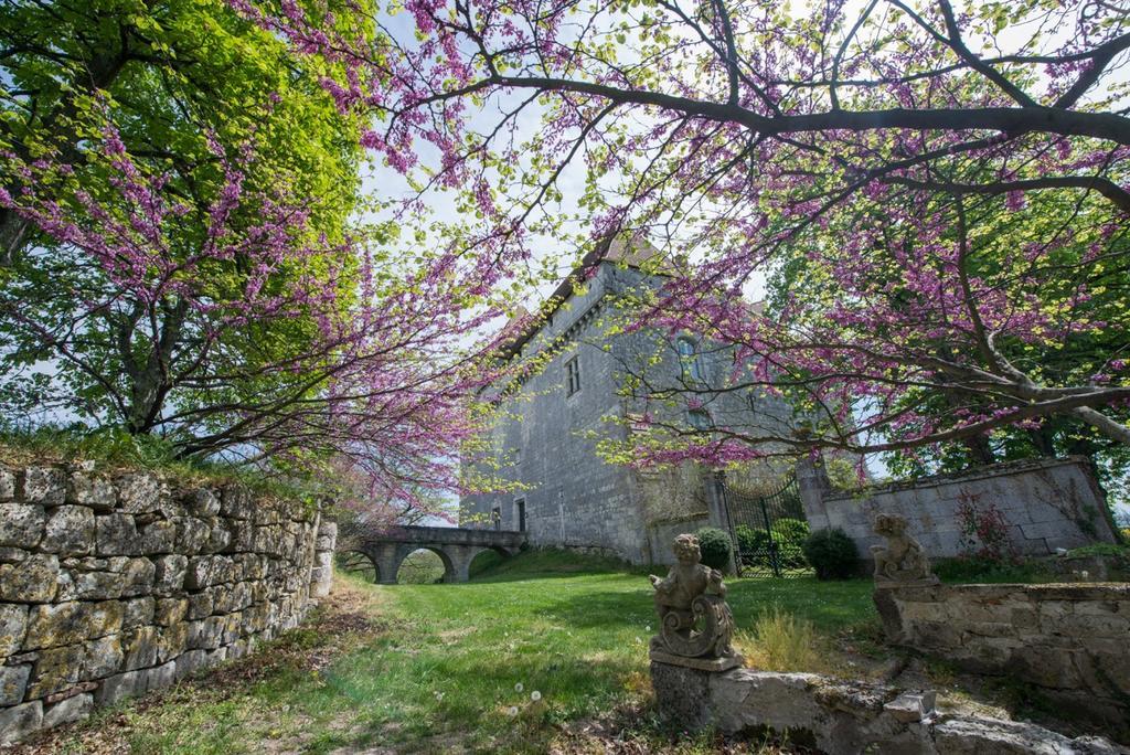 Chateau De Goudourville Villa Luaran gambar