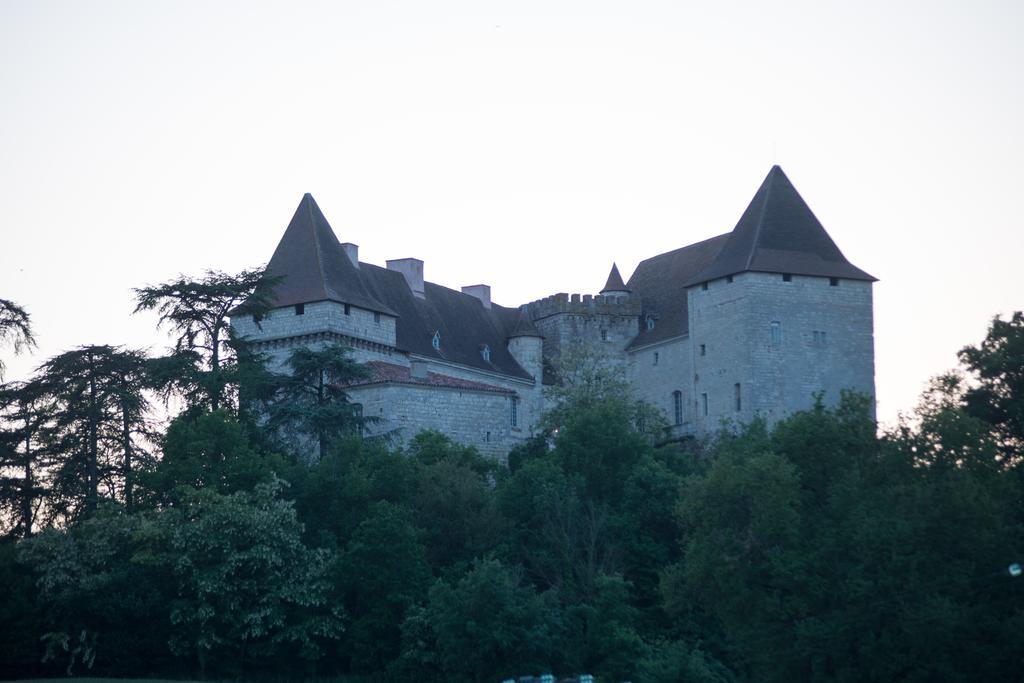 Chateau De Goudourville Villa Luaran gambar