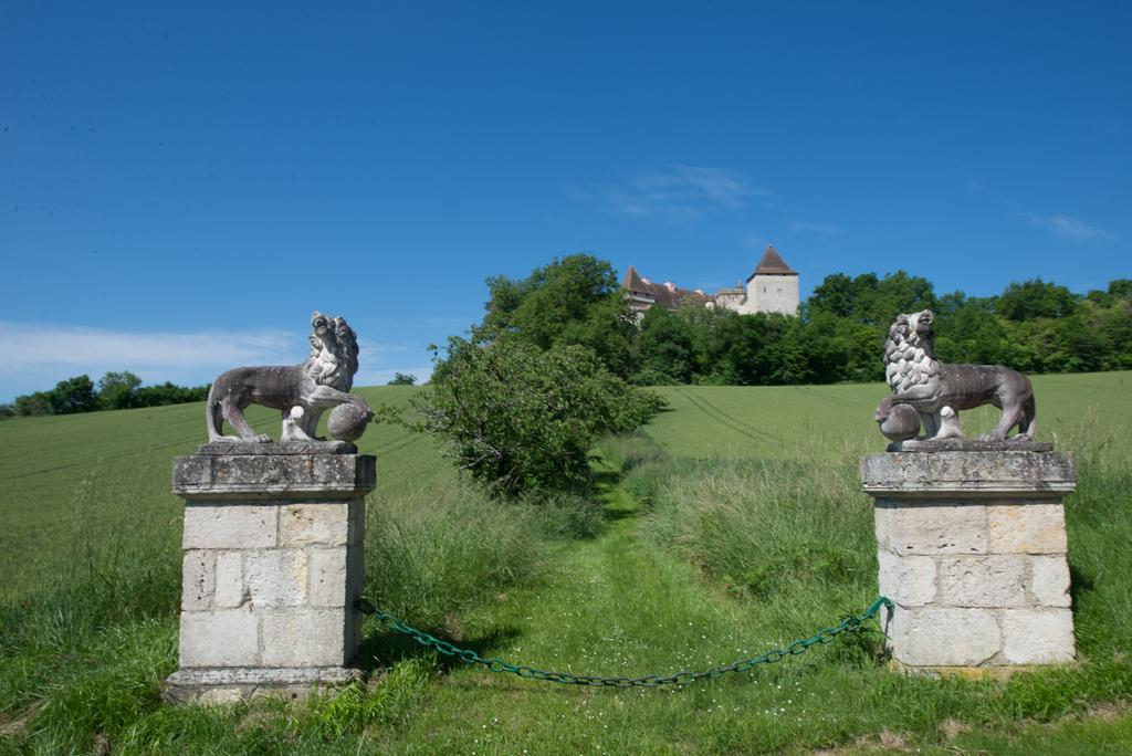 Chateau De Goudourville Villa Luaran gambar